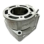 New Plated Polaris 500 Lc Cylinder 2001 Xc Sp 3021185 3021029 Std. Fixed Price $485.99.
