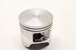 Oem Arctic Cat 3005-110 Piston 600X2 Nos. Fixed Price $59.46.