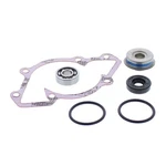 Vertex Water Pump Rebuild Kit For Ski-doo Mxz Xrs 600 2009-2015. Fixed Price $52.89.