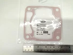 Gasket-cylinder ---- Polaris Nos. Fixed Price $41.99.