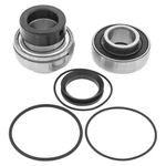 Balls Shaft Bearing And Seal Kit For 2001-2003 Arctic Cat Zl 600 Efi Esr. Fixed Price $54.03.
