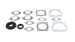 Yamaha SL396, 1969, Full Gasket Set And Crank Seals -. Fixed Price $44.92.