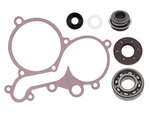 Spi Water Pump Repair Kit #SM-10104 For Yamaha/arctic Cat. Fixed Price $45.01.