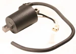 Polaris Fusion 900, 2006, Ignition Coil - Mag Side, 4011105. Fixed Price $34.99.