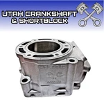 New Plated Polaris Cylinder Iq Racer 600R 3022102 3022243 09. Fixed Price $799.95.