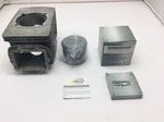 Ski Doo Complete Cylinder Kit 2005-2009 Expedition Gsx Scandic Mxz 550 420923978. Fixed Price $239.95.