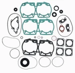 Complete Gasket Kit Fits Ski-doo Formula Mxz 1996 1999 By Race-driven. Fixed Price $102.60.