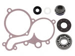 Spi Water Pump Repair Kit SM-10104. Fixed Price $57.95.