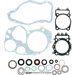 Quadboss Complete Gasket Set With Oil Seals For Arctic Cat Prowler 700 Hdx & Xtx. Fixed Price $209.08.