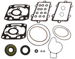 Spi Complete Engine Gasket Set Fits Arctic Cat 500 Efi Snowmobiles 2004-2017. Fixed Price $74.95.