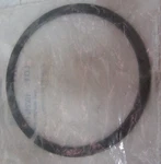 09'-17' Polaris Snap Ring #7710528 Item #1989. Fixed Price $18.75.