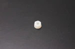 Qty 7 Brp Ski-doo New Oem Nylon Screw 250100058. Fixed Price $24.99.