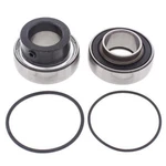 Fits 2000 Arctic Cat Zl 500 Efi Shaft Bearing And Seal Kit Balls 14-1008. Fixed Price $50.17.
