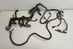 2004 Ski-doo Oem Main Wiring Electrical Harness Ass'y Summit Mxz. Fixed Price $99.97.