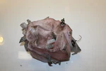 2013 Ski-doo Summit 800 Xm Oil Tank Bottle Reservoir 519000297. Fixed Price $44.99.