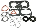 Polaris Indy 500 Rmk/sks, 1996-1997, Full Gasket Set And Crank Seals. Fixed Price $79.25.