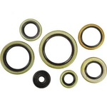 Winderosa - 822976 Oil Seal Kit. Fixed Price $59.58.