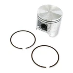 Arctic Cat Piston Assembly, 3005-173. Fixed Price $213.95.