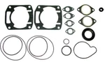 Spi Complete Gasket Set For 1971-1975 Arctic Cat Panther 440 Snowmobile. Fixed Price $52.34.