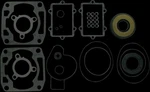 Vertex Complete Engine Rebuild Gasket Kit W Oil Seals Sabercat 500 04-06. Fixed Price $134.25.