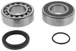 Balls Chain Case Bearing & Seal Kit #14-1072 Arctic Cat. Fixed Price $38.40.