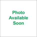 Wossner RST7100 Piston Ring Set. Fixed Price $21.63.