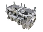 78 Arctic Cat Panther 5000 Engine Motor Crankcase Set. Fixed Price $89.99.