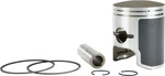 Sports Parts T-moly Piston Kit Std Bore 60.00MM Arctic Cat Panther Z 370 09-603. Fixed Price $87.25.