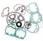 Complete Gasket Kit Fits Ski-doo Gsx 500SS Sport 2004 2009 By Race-driven. Fixed Price $118.75.