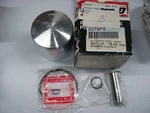 Ski Doo Snowmobile Rotax Engine Mach 1 670 Mxz Std Bore Piston Kit Wiseco 2379PS. Fixed Price $139.95.