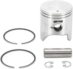 Parts Unlimited Piston Assembly For Polaris Standard 09-718. Fixed Price $52.89.