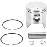Parts Unlimited Piston Assembly For Polaris Standard 09-718. Fixed Price $54.74.
