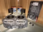 2019-26 Polaris 850 Pro-rmk, Indy, Switchback Top End Rebuild Kit Cylndr+pstns. Fixed Price $1250.00.