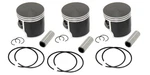 3 Spi Standard Bore Piston Kits For Arctic Cat 1000 Triple Snowmobiles 81MM. Fixed Price $224.95.