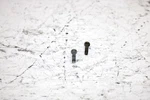 2001 Ski-doo Mxz 800 Oem Float Bowl Screw Pair 404161906 SS19. Fixed Price $9.99.