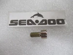 Genuine Sea-doo 205081644 Socket Head Screw Oem New Factory Boat Parts. Fixed Price $6.24.