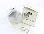 Oem Polaris Trail Blazer Xplorer Piston 1.0MM O/s 1.00MM/.040" 3083972 2688. Fixed Price $78.95.