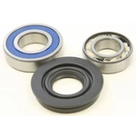 Balls Chain Case Bearing & Seal Kit 14-1026. Fixed Price $45.26.