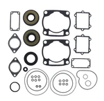 Complete Gasket Kit Fits Arctic Cat Zl 500 2001 2002 By Race-driven. Fixed Price $81.44.