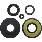 Vertex Oil Seal Kit - 55133. Fixed Price $30.15.