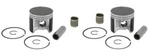 2 Spi Piston Kits & Bearings 1998 1999 Arctic Cat Zr 600 Efi Carb Std Bore 78MM. Fixed Price $179.95.