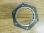 Polaris 3080250 Head Gasket. Fixed Price $12.37.
