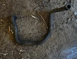 Engine Outlet Hose 509000158 509000334 Ski-doo 03-07 Mxz Rev Free Ship. Fixed Price $25.00.