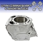 Replated Std Ski-doo 800 Ho Cylinder 2003-2007 Mxz Gtx Gsx Ltd Ptek. Fixed Price $585.99.