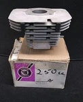 Vintage Arctic Cat 1973 El Tigre 250 Cylinder 3001-033 Jug Mag Side Nos Oem. Fixed Price $174.99.