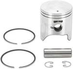 Parts Unlimited Piston 09-718 Polaris. Fixed Price $47.89.