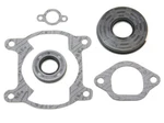 Yamaha Bravo Spi Complete Gasket Kit Full Engine Crank Seals BR250 1984-2011. Fixed Price $29.95.