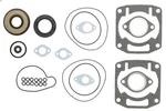 Complete Set Of Gaskets, Engine Winderosa W711189. Fixed Price $82.31.
