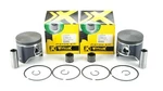 Arctic M8000 Mountain Cat/sno-pro, 2018-2020, Pro-x Pistons & Bearings. Fixed Price $229.38.