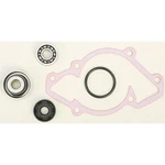 Vertex Water Pump Rebuild S/m 721258. Fixed Price $52.89.